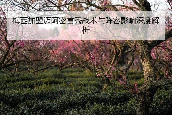 mei-xi-jia-meng-mai-a-mi-shou-xiu-zhan-shu-yu-zhen-rong-ying-xiang-shen-du-jie-xi-2-971.jpg